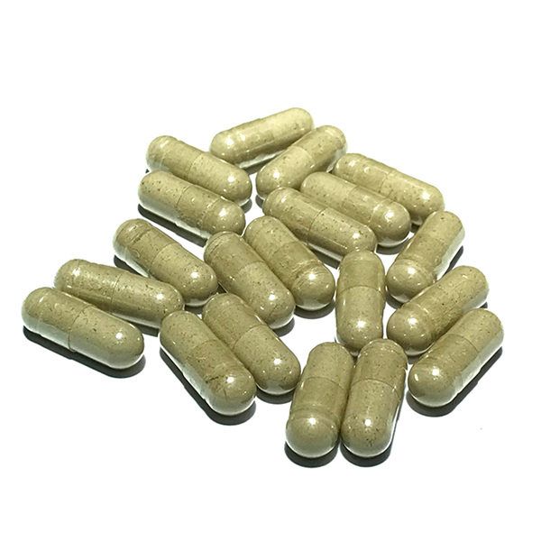 Velvet Bean (Mucuna pruriens) 500mg Extract Capsules